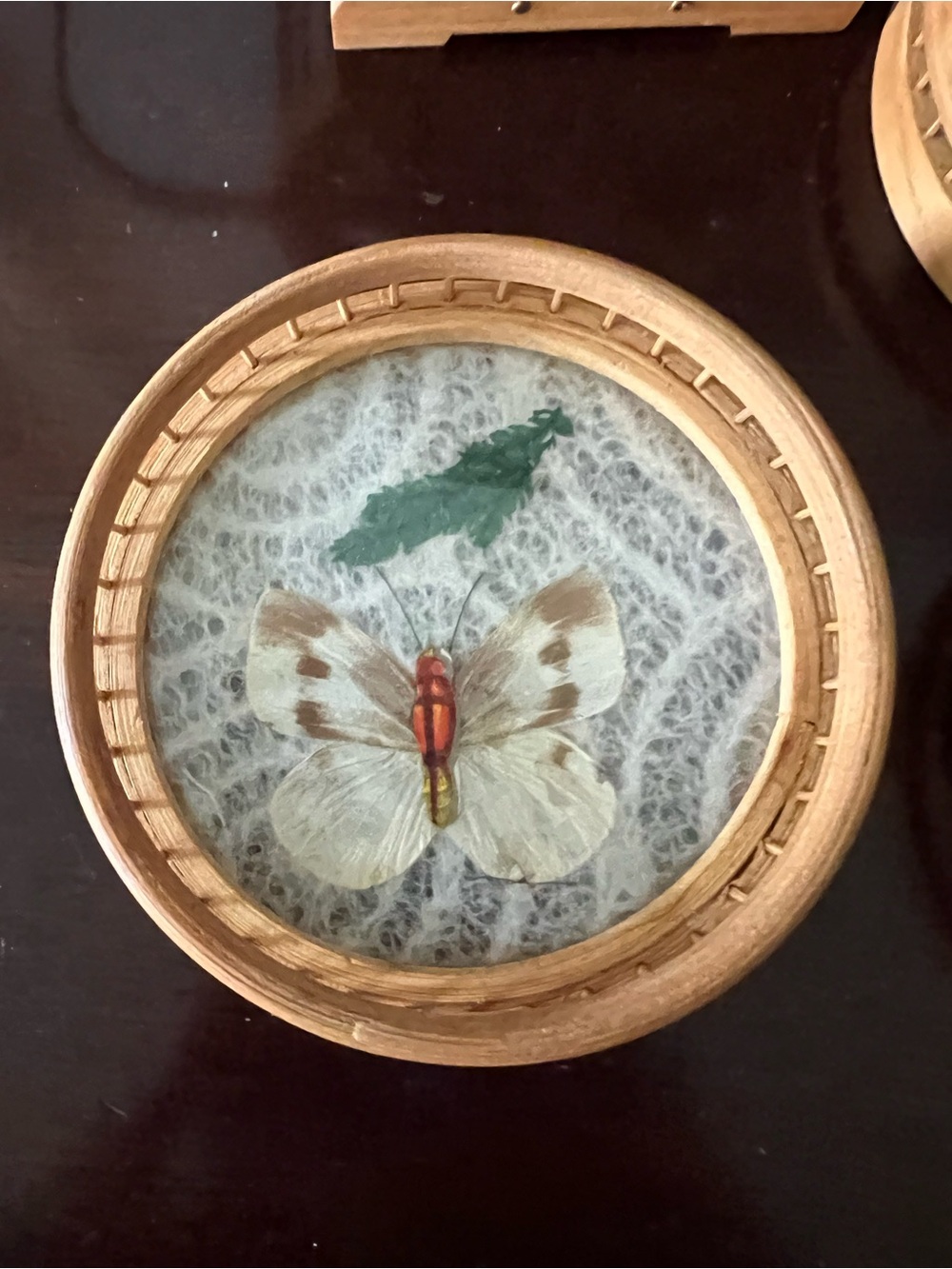 Vintage set of Butterfly coasters